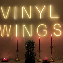 Vinyl Wings